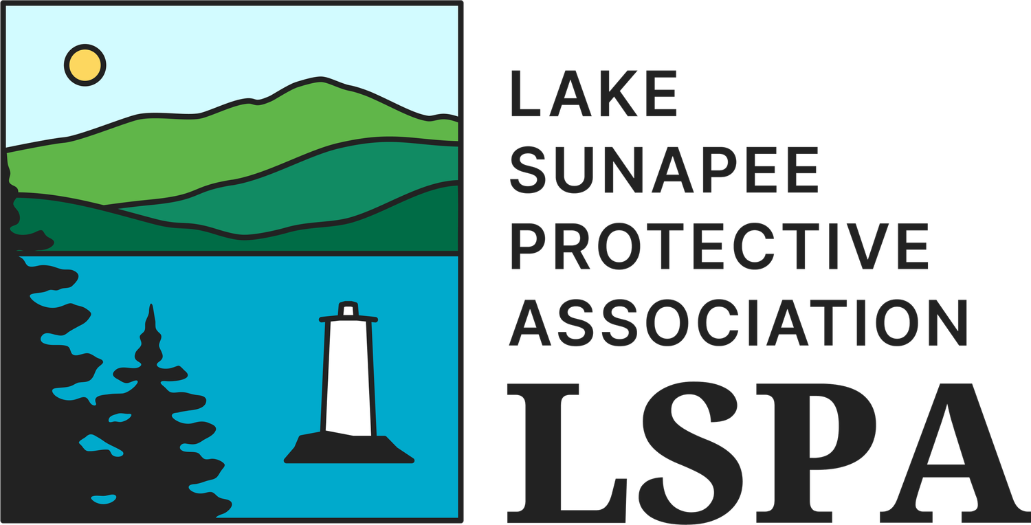 sunapee logo